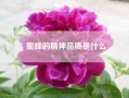 蜜蜂的精神品质是什么—蜜蜂的品质