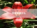 女读音是什么(女的读音 女字怎么读音)