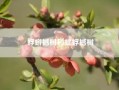 蜉蝣撼树和蚍蜉撼树?蚍蜉撼树的意思 蚍蜉撼树是什么意思?