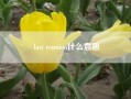 last reunion什么意思__last是什么意思