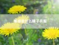 蜜蜂是什么牌子衣服-小蜜蜂是哪个奢侈品牌？