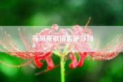 等风来歌词吉萨莎玛-等风来,季风吹向大海是什么歌?