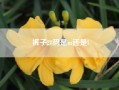 裤子28码是m还是l__m码适合多高 体重多重