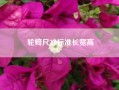 轮椅尺寸标准长宽高?轮椅24寸是多少公分?