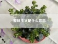 蒙昧主义是什么意思；蒙昧是什么意思