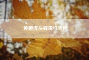 黄腰虎头蜂毒性大吗；虎头蜂100只能泡多少酒