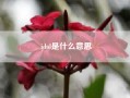 idol是什么意思？求封写给老师的道歉信（要英文的）？