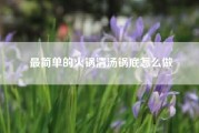 最简单的火锅清汤锅底怎么做？小火锅清汤怎么做？