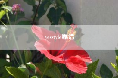 yesstyle靠谱？人在美国，求推荐类似淘宝一样的购物网站？