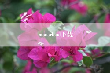 monocloud下载？monocloud是什么?有什么作用？