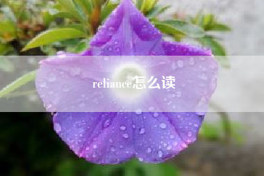 reliance怎么读？reliance和reliable的区别？