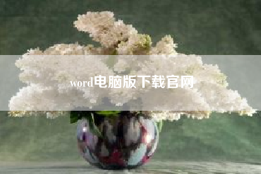 word电脑版下载凯发k8天生赢家一触即发官网?word电脑版字体没颜色,手机有?