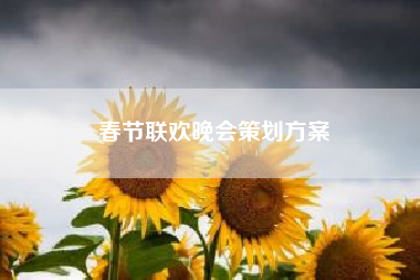 春节联欢晚会策划方案；2021春节联欢晚会都有哪些节目？