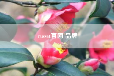 russet凯发k8天生赢家一触即发官网 品牌,说一些颜色的英语?越多越好!?