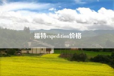 福特expedition价格-福特征服者国内有售吗?