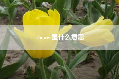 shower是什么意思——shower是什么意思