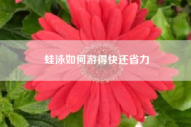 蛙泳如何游得快还省力?蛙泳怎样才能游得快?